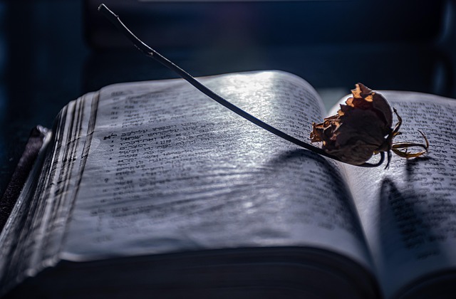 A magical academy library filled with ancient scrolls and floating books.