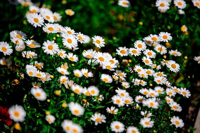 Panoramic view of a vibrant, alien flora landscape.